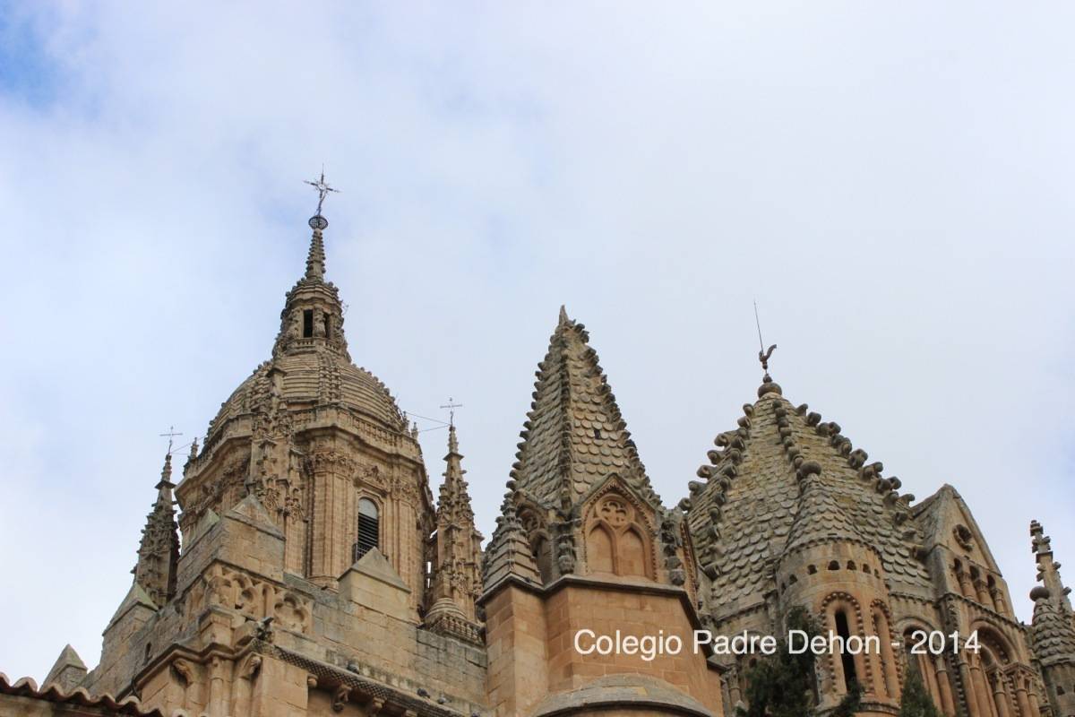 2014 03 22 SALAMANCA CATEDRAL (42)